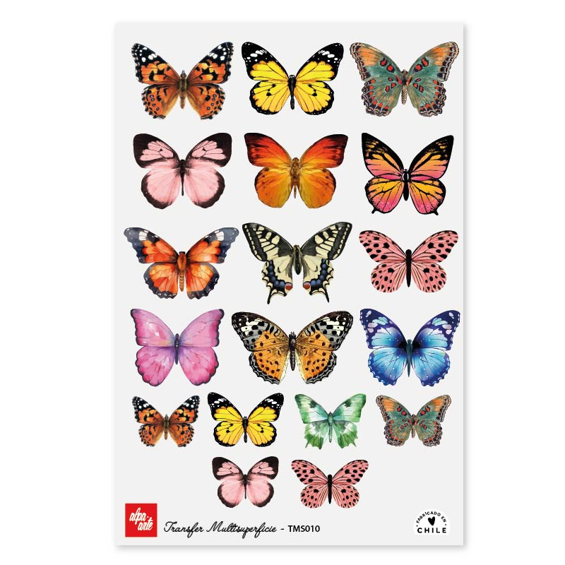 Transfer Multisuperficie TMS010