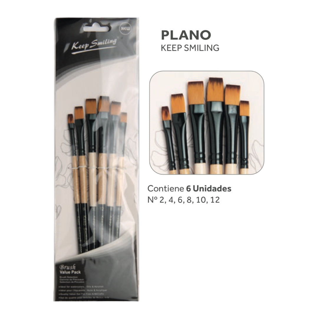 Set de 6 Pinceles Planos